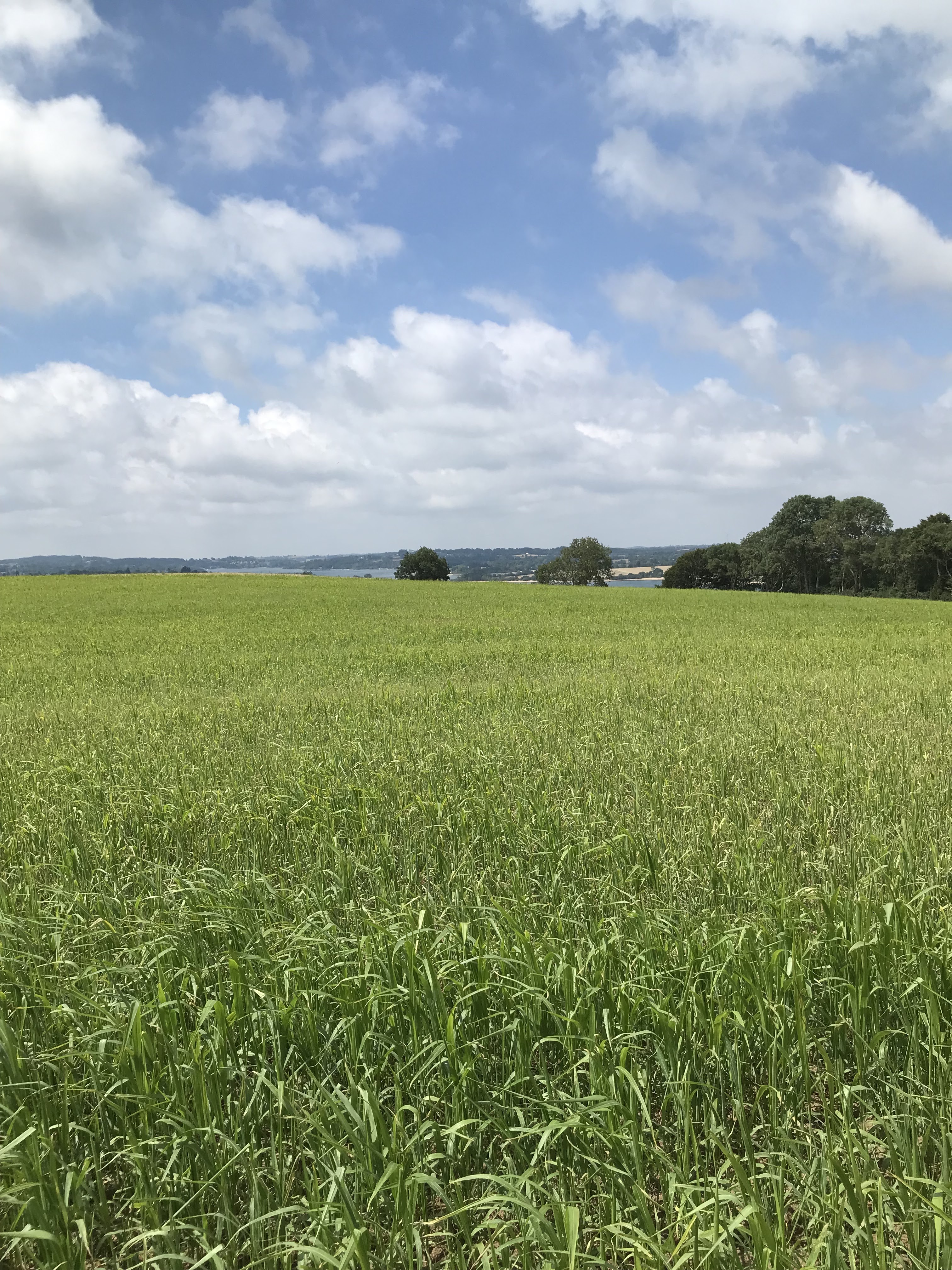 Photo n° 1 de l'avis de Michel.e fait le 10/09/2022 à 14:29