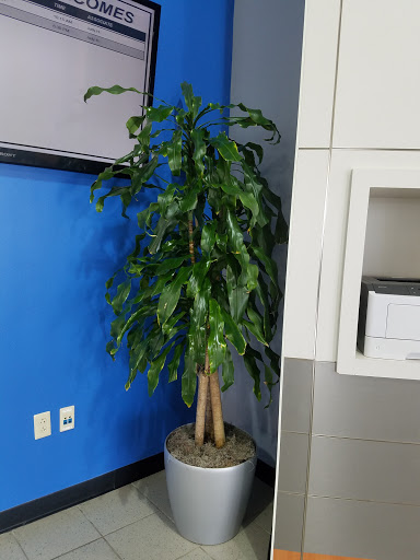 Honda Dealer «AutoNation Honda South Corpus Christi», reviews and photos, 6702 S Padre Island Dr, Corpus Christi, TX 78412, USA