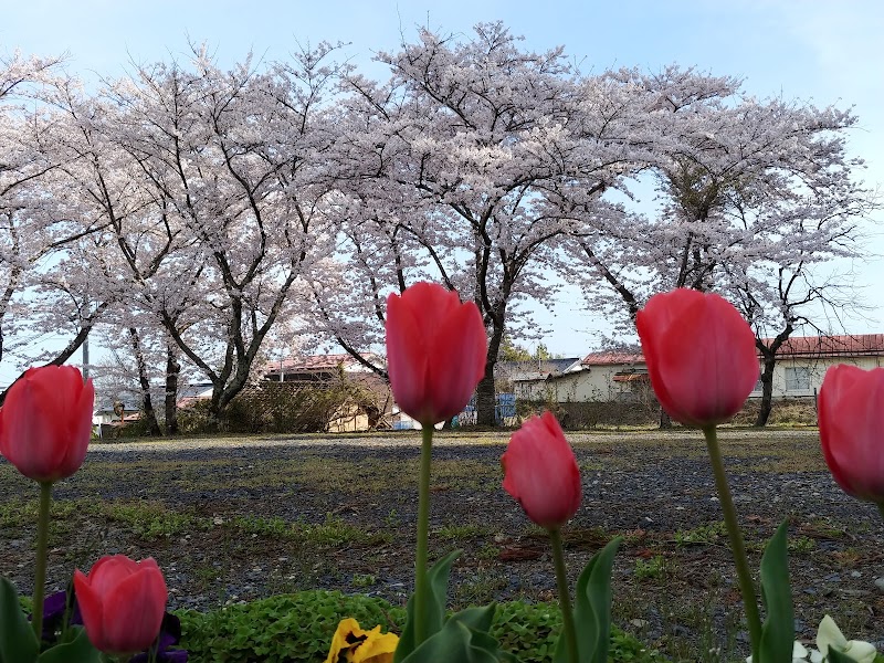 師山生活センター