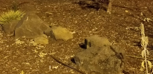 Park «Hammerle Park», reviews and photos, 1505 Lewis St, West Linn, OR 97068, USA