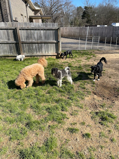 PetQuest Spa & Hotel