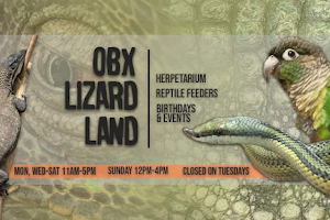 OBX Lizard Land image