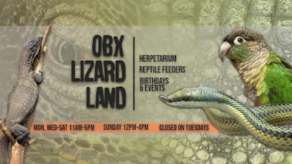 OBX Lizard Land