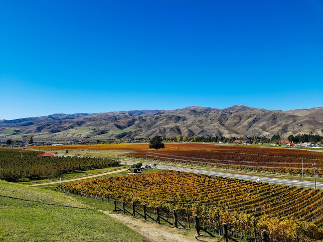 Reviews of Roaring Wine Tours in Wanaka - Travel Agency