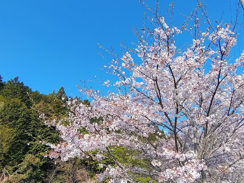 繖公園