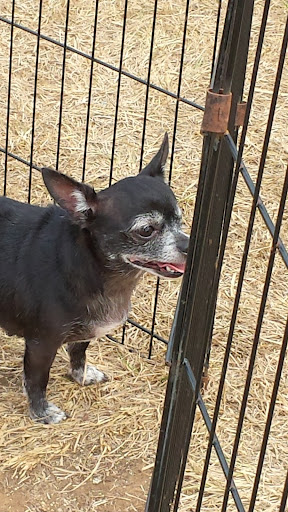 Pet Supply Store «PetSmart», reviews and photos, 3096 N Eastman Rd, Longview, TX 75605, USA