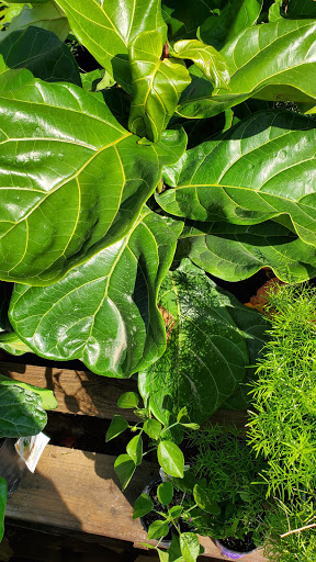 Home Improvement Store «The Home Depot», reviews and photos, 1600 Gadsden Hwy, Trussville, AL 35173, USA