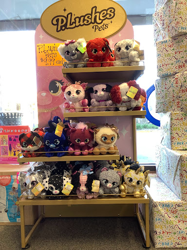 Toy Store «Learning Express Toys», reviews and photos, 315 S Rand Rd, Lake Zurich, IL 60047, USA