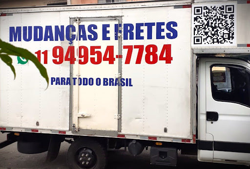Logo da empresa - DOMINGOS Mudanças e Transportes