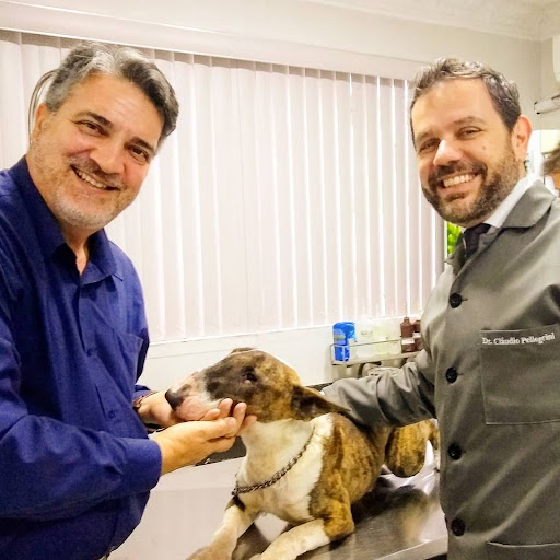 Centro Veterinário Pellegrini em Santos - SP
