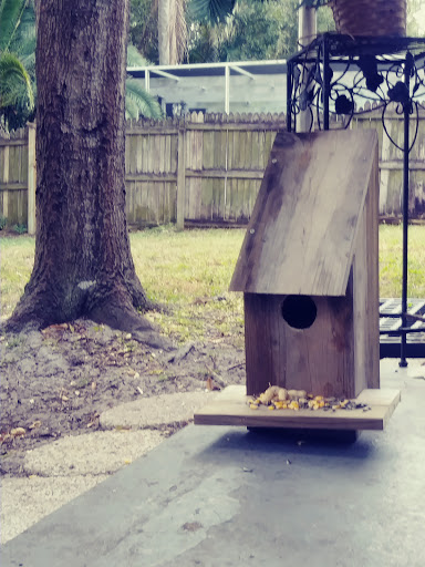 Pet Supply Store «Park Feed Store & Pet Supply», reviews and photos, 5775 Park Blvd N, Pinellas Park, FL 33781, USA