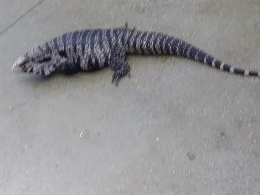 Pet Supply Store «Pet Supplies Plus», reviews and photos, 101 Sutton Ave, Oxford, MA 01540, USA