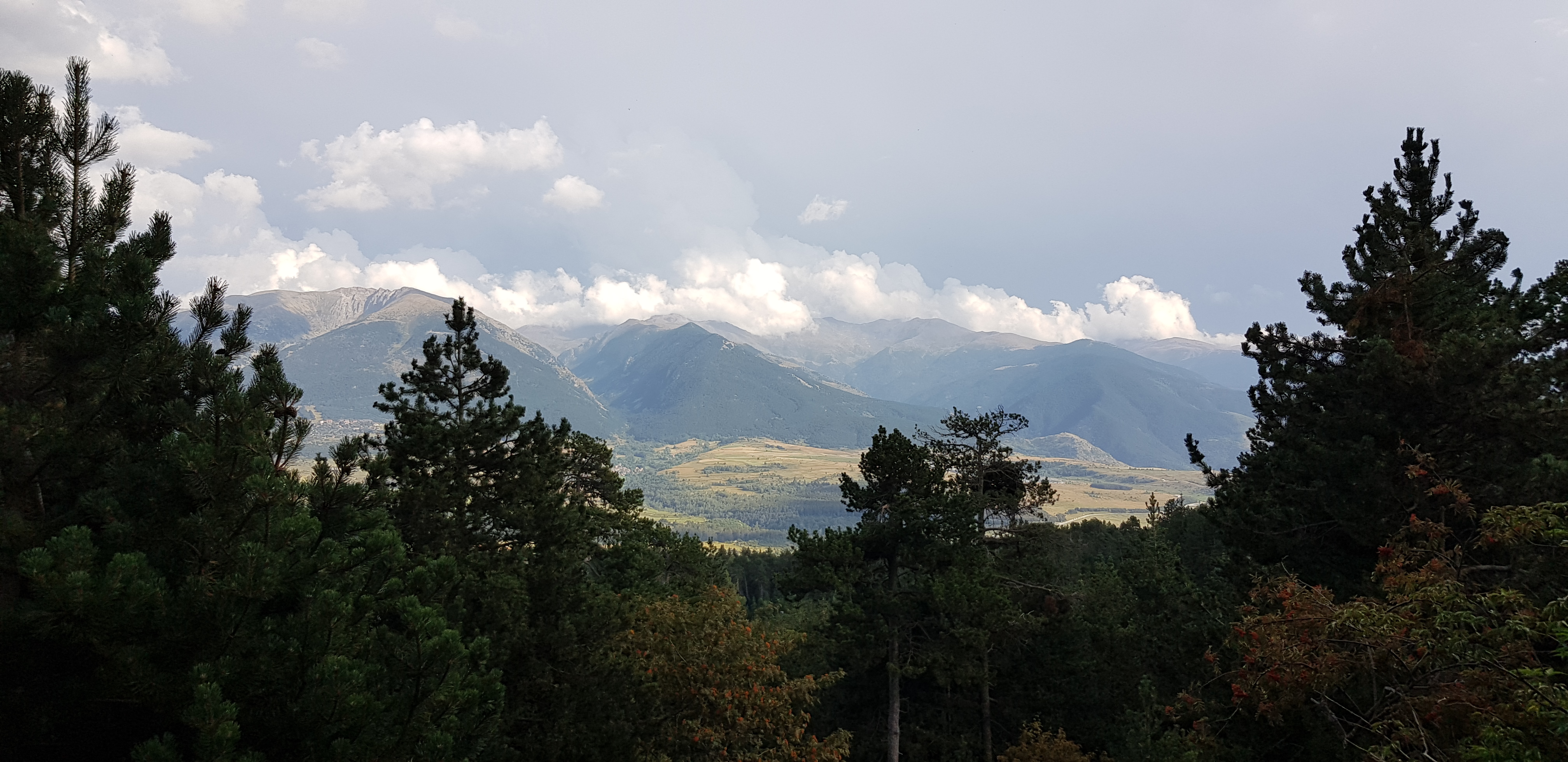Photo n° 4 de l'avis de Gérald.O fait le 26/08/2020 à 09:15