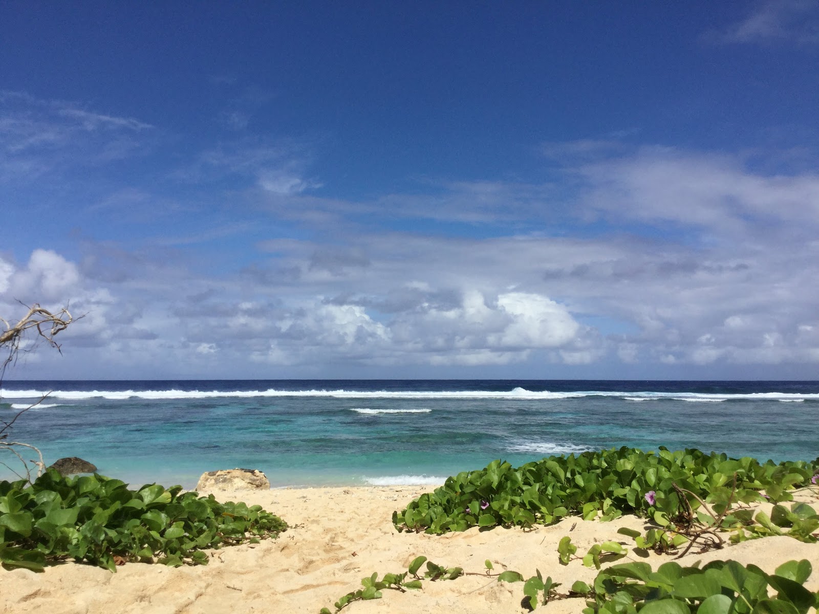 Foto von Wing Beach mit sehr sauber Sauberkeitsgrad