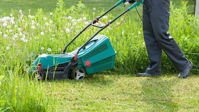 SERVICE NET ENVIRONNEMENT à Primarette