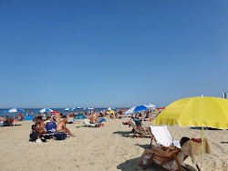 Strand Domburg'in fotoğrafı ve yerleşim