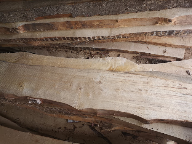 Skład Drewna Bydgoszcz - PHP Wólka Waldemar Ładziak - Bydgoszcz