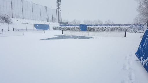 Golf Course «Washoe County Golf Course», reviews and photos, 2601 Foley Way, Reno, NV 89505, USA