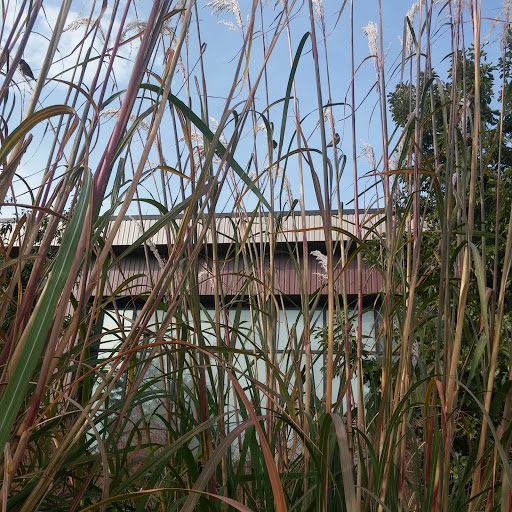 Non-Profit Organization «City Union Mission», reviews and photos