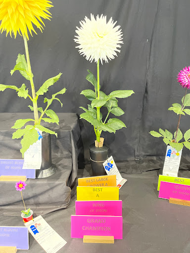 1150 Charles Ln, Marysville, OH 43040, USA