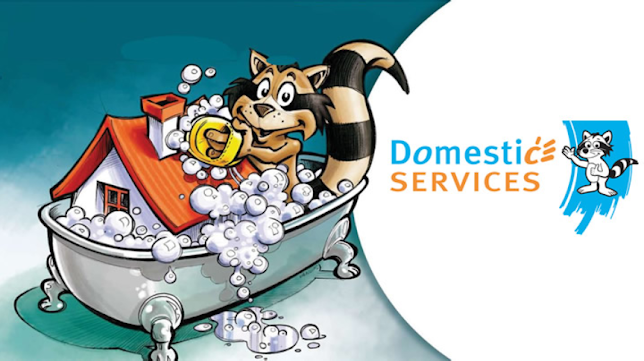 Domestic Services Dendermonde, Huishoudhulp met Dienstencheques, Poetsvrouw - Schoonmaakbedrijf