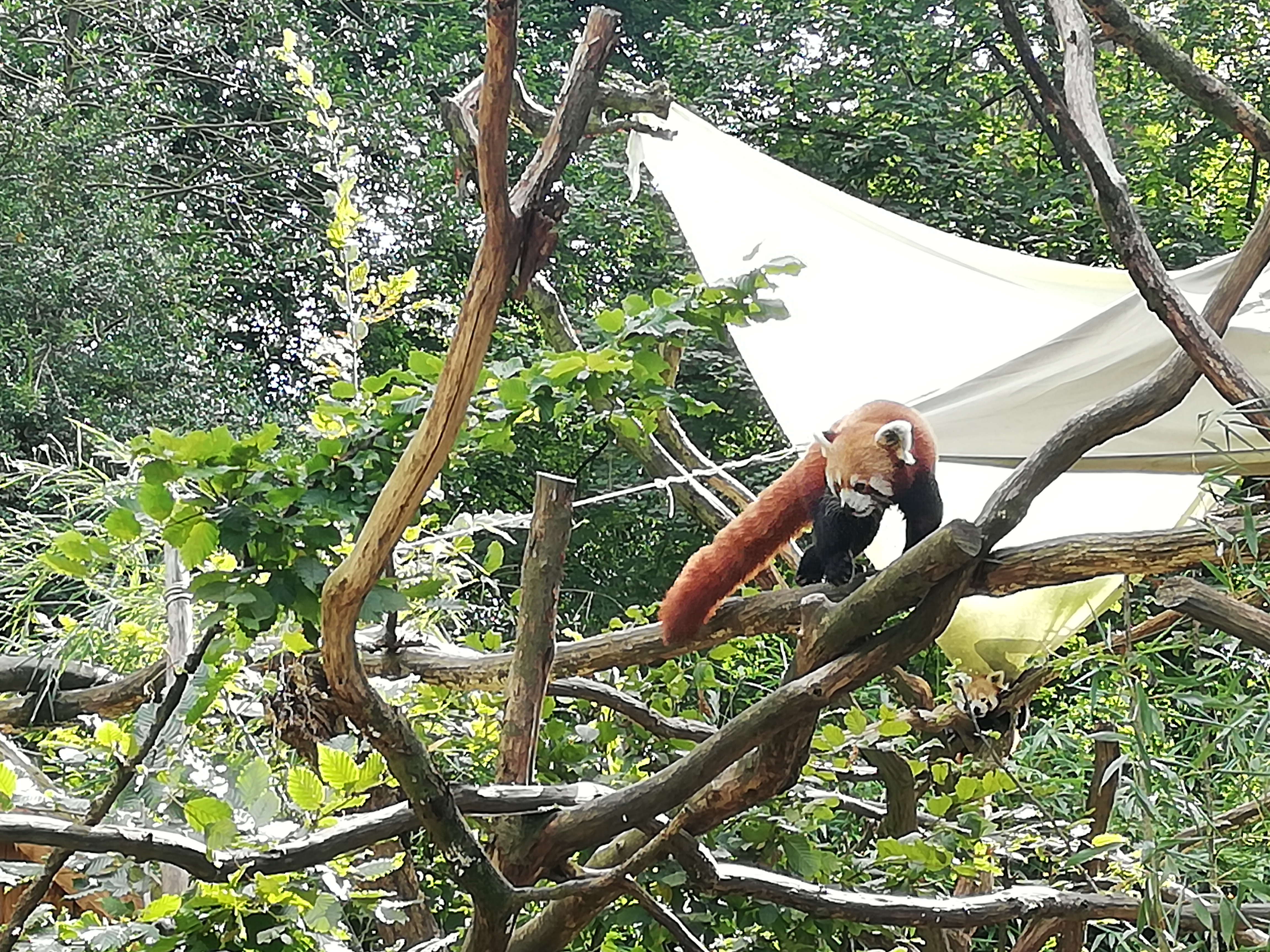 Photo n° 19 de l'avis de Jérôme.r fait le 09/10/2021 à 23:59