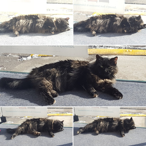 Video Game Rental Service «Video-N-Game Gallery», reviews and photos, 16 S Wisconsin St, Elkhorn, WI 53121, USA