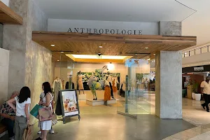 Anthropologie image