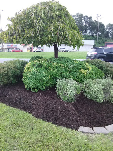 Fast Food Restaurant «Sonic Drive-In», reviews and photos, 2917 KY-1629, Corbin, KY 40701, USA