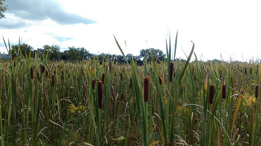 Nature Preserve «Rock Run Preserve - Black Road Access», reviews and photos, Black Rd, Joliet, IL 60431, USA