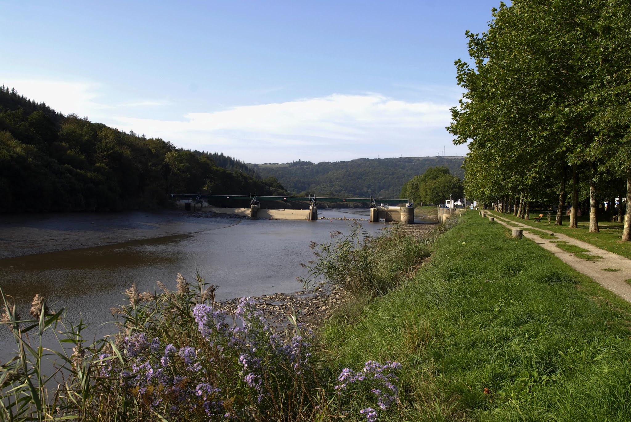 Photo n° 1 de l'avis de pierre.r fait le 27/05/2020 à 04:55