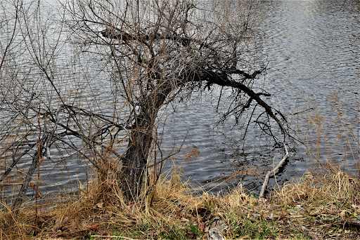 Park «Vanderbilt Park», reviews and photos, 855 S Platte River Dr, Denver, CO 80223, USA