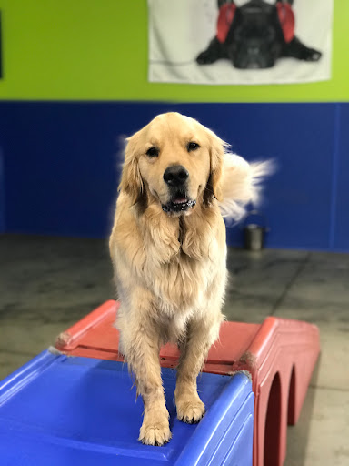 Pet Store «Happy, Clean and Smart», reviews and photos, 5700 W Kilgore Ave, Muncie, IN 47304, USA