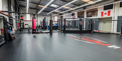 Mma Fight Club Gym à Saint-Cyr-sur-Loire