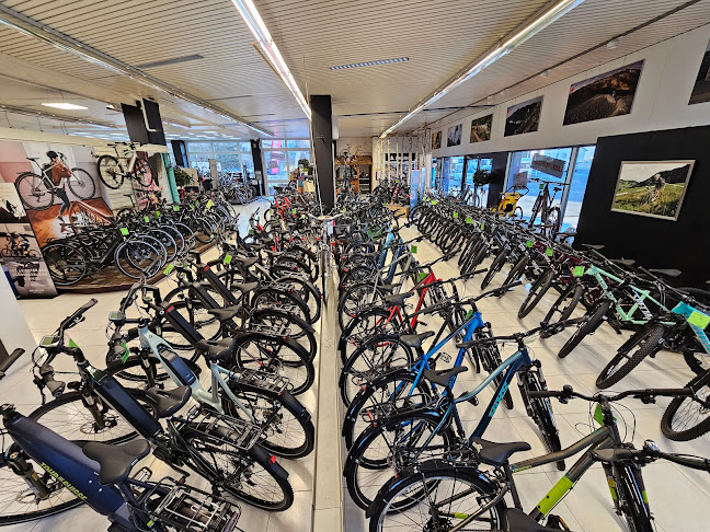 bike store schwyz