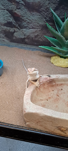 Pet Supply Store «Petco Animal Supplies», reviews and photos, 3284 Jefferson St, Napa, CA 94558, USA