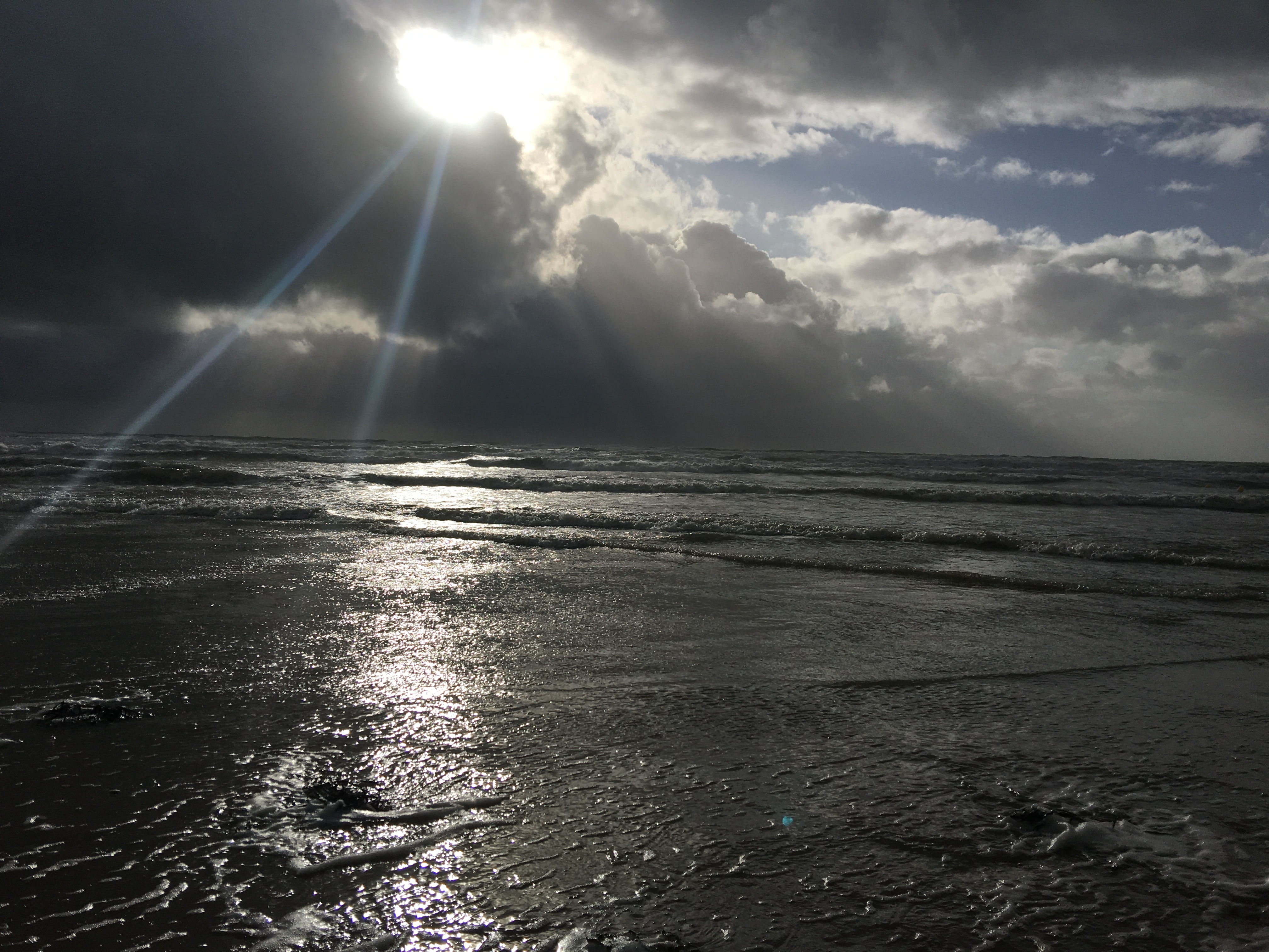 Photo n° 9 de l'avis de Alain.e fait le 17/02/2019 à 16:03