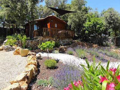 Domaine de la Borie à Trans-en-Provence