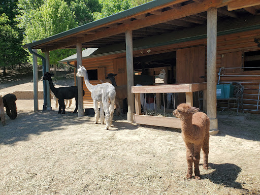Boutique «Alpacas of the Heartland LLC», reviews and photos, 7016 County Rd 39, Fort Calhoun, NE 68023, USA