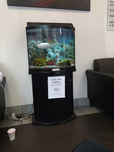 Subaru Dealer «Subaru Stamford», reviews and photos, 198 Baxter Ave, Stamford, CT 06902, USA