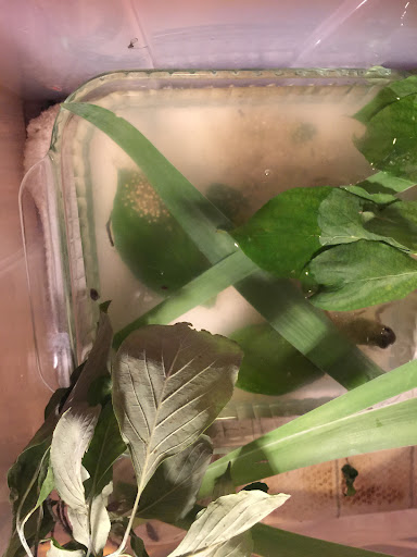 Pet Supply Store «Petco Animal Supplies», reviews and photos, 187 Stonebrook Pl, Jackson, TN 38305, USA