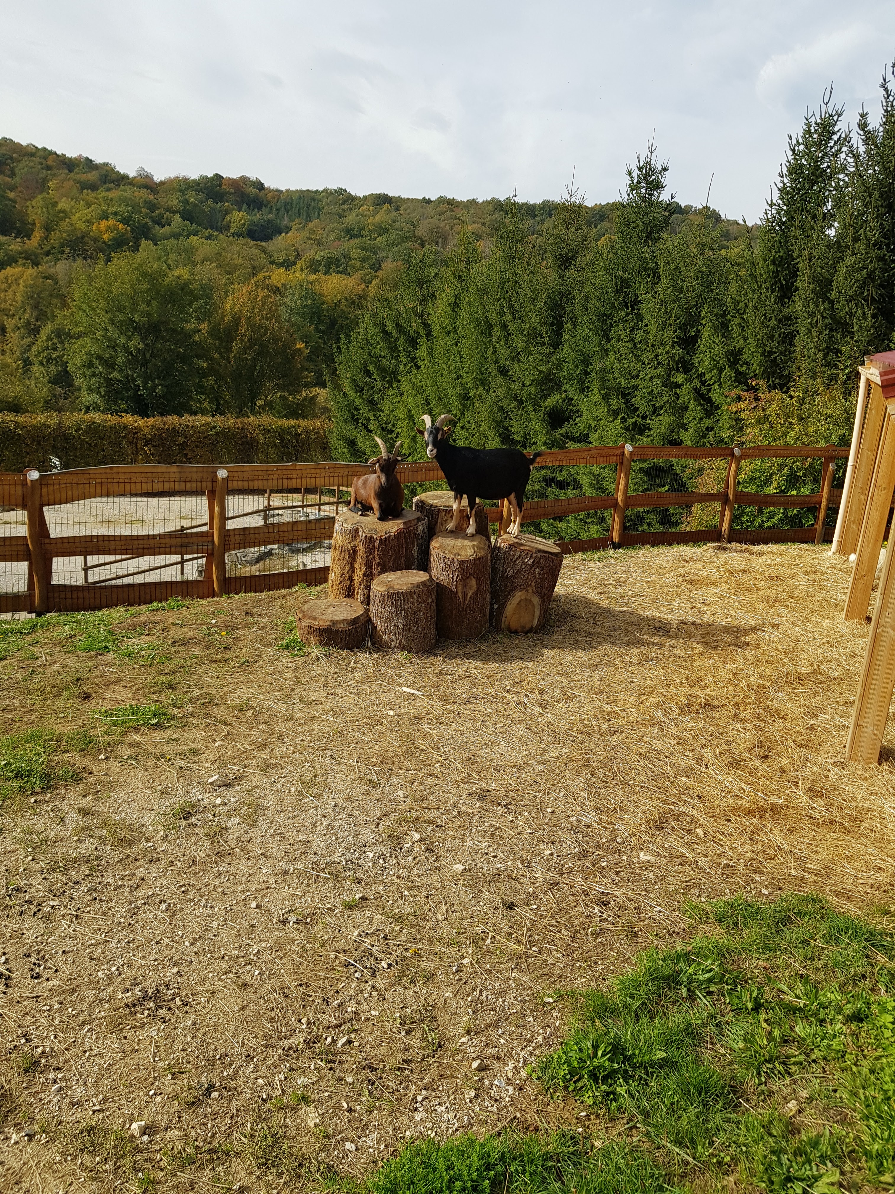 Photo n° 1 de l'avis de Nadine.t fait le 21/10/2020 à 14:21