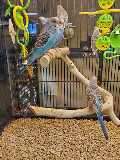 Pet Supply Store «PetSmart», reviews and photos, 1621 E Monte Vista Ave b, Vacaville, CA 95688, USA