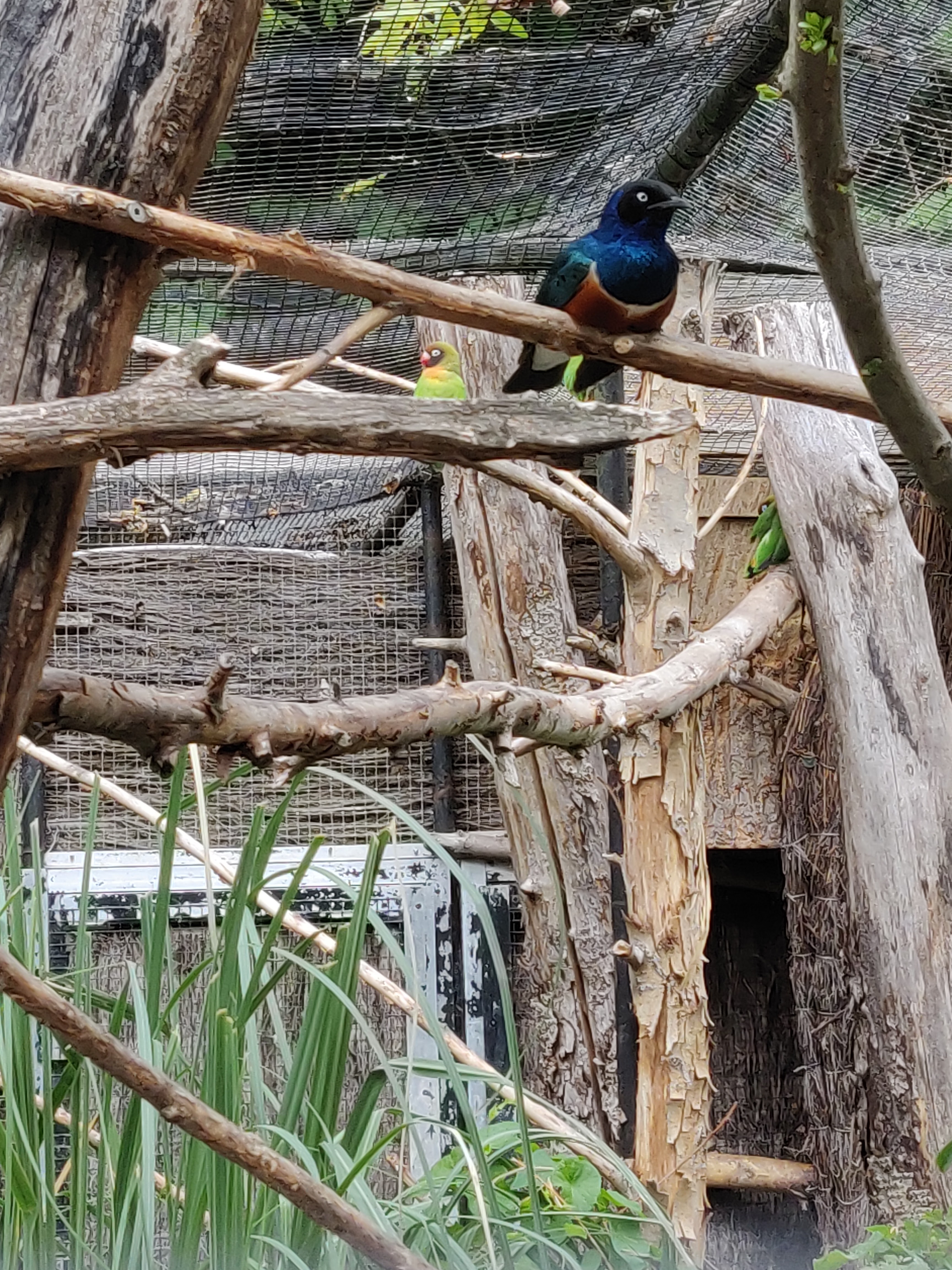 Photo n° 7 de l'avis de Amélie.e fait le 31/08/2019 à 17:39