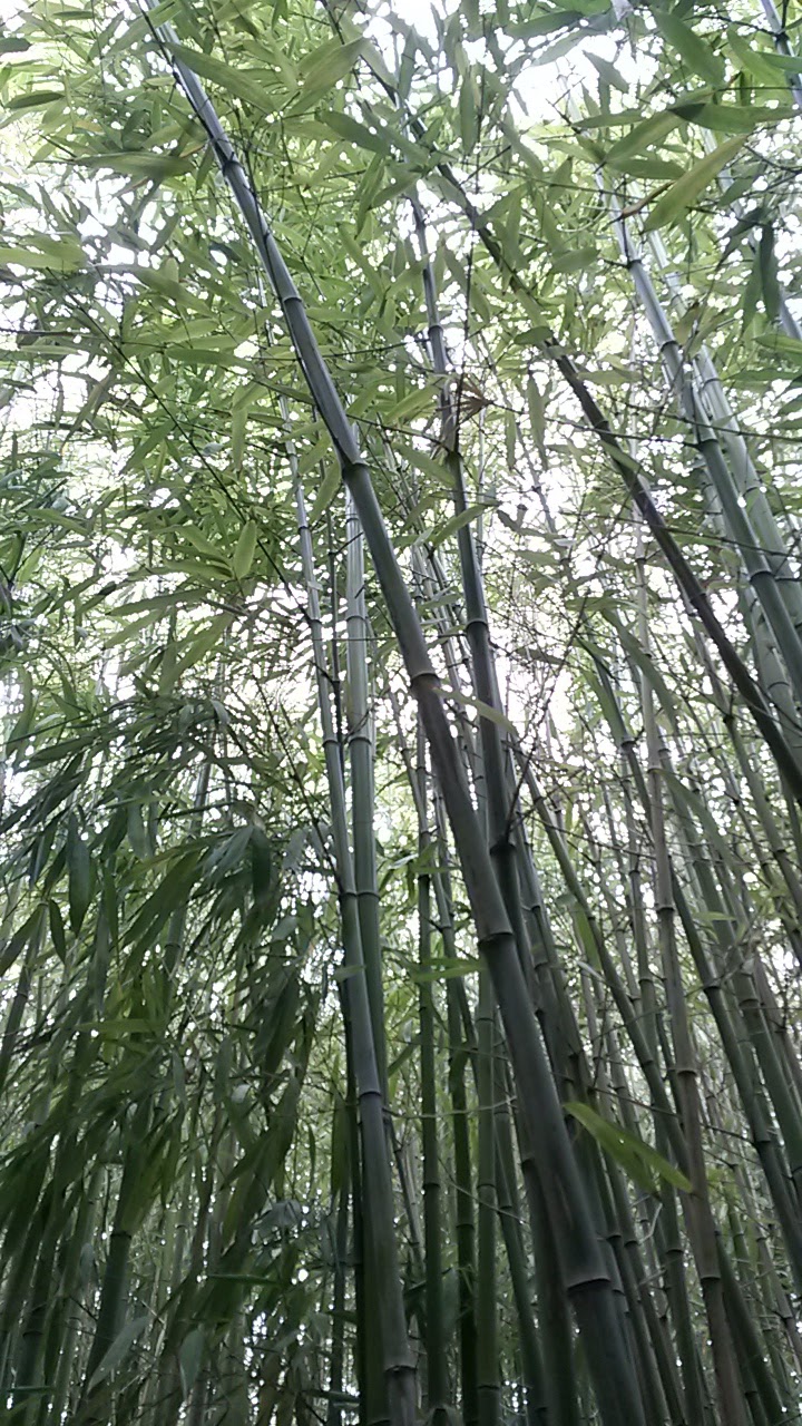 Photo n° 4 de l'avis de Núria.a fait le 30/08/2018 à 09:26