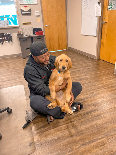 Moving and Storage Service «Boerman Moving and Storage», reviews and photos, 2420 Davey Rd, Woodridge, IL 60517, USA