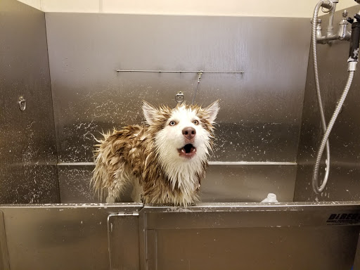 Pet Supply Store «The Farm Store», reviews and photos, 3956 Jacobs Ave, Eureka, CA 95501, USA