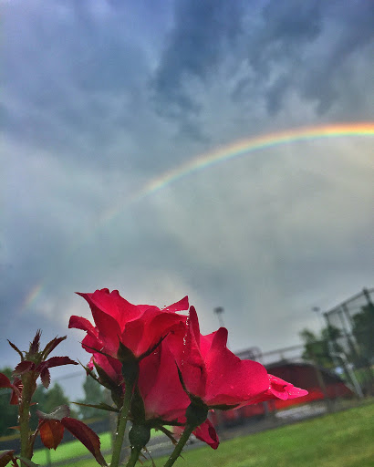 Park «Eugene Simpson Stadium Park», reviews and photos, 426 E Monroe Ave, Alexandria, VA 22301, USA