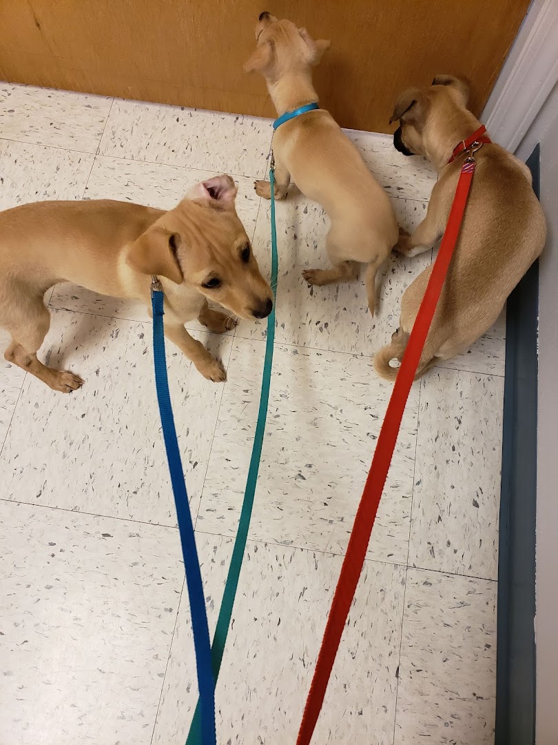 Animal Haven Veterinary Clinic