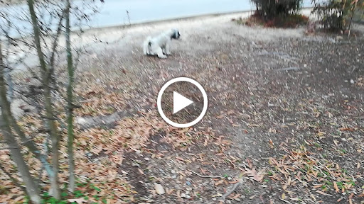 Thrift Store «GCF Donation Center & Store (Highway 42)», reviews and photos